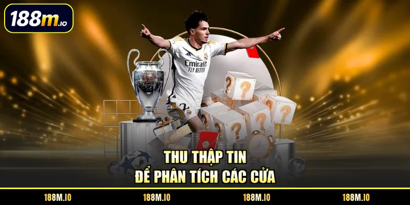 Thu thập tin để phân tích các cửa